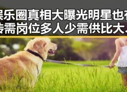 娱乐圈真相大曝光明星也有转需岗位多人少需供比大引发关注
