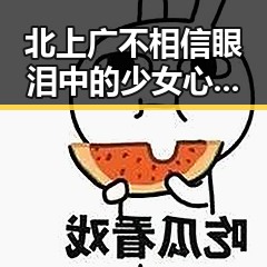 北上广不相信眼泪中的少女心收割机朱亚文与红海行动演员张译的不同侧面揭示