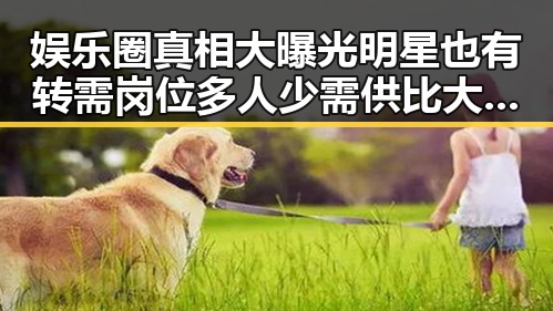 娱乐圈真相大曝光明星也有转需岗位多人少需供比大引发关注