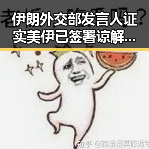伊朗外交部发言人证实美伊已签署谅解备忘录引发关注与争议
